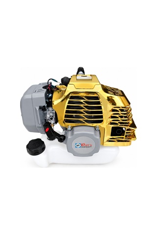 Roys Gold Renk Pro Tekne Ve Bot Motoru 2 Zamanlı