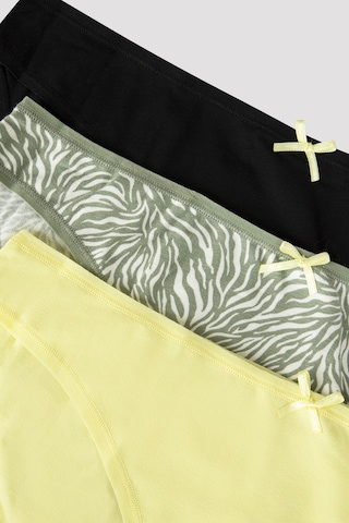 Zebra 3lü Slip Külot Çok Renkli