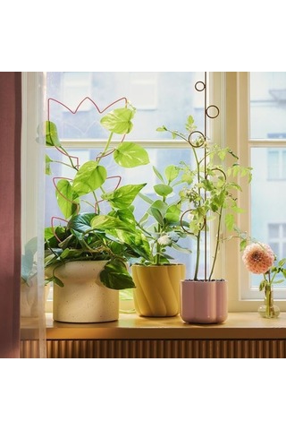 Ikea Doftrıps Bitki Desteği, Çok Renkli, 2'li Set / İç/dış Mekan