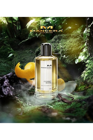 Cedrat Boise Edp 120ml Diğer