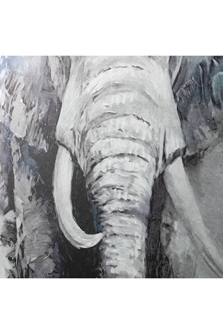 Elephas Çerçeveli Tablo 100x100 Cm