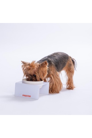 Beyaz Tekli Seramik-pleksi Mama Ve Su Kabı-kedi Köpek Mama Su Kabı