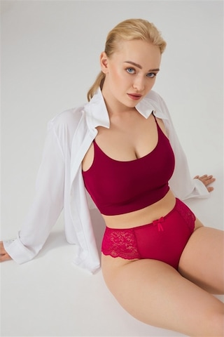 Dantelli Tül Detaylı Büyük Beden Kadın Brezilya 3'lü Paket Külot 550331209 Çok Renkli