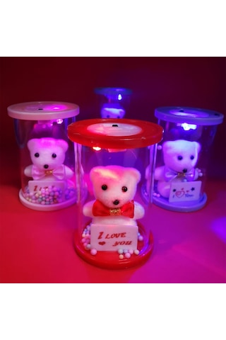 Işıklı Cam Fanus İçinde Ayıcık Çok Renkli