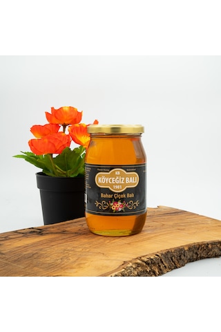 Köyceğiz Balı Bahar Çiçek Balı Cam Kavanoz 450 G