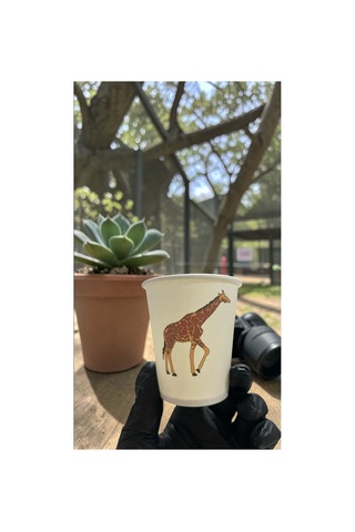 Hayvan-orman-amazon-zoo Doğumgünü Parti Zürafa Temalı Tek Kullanımlık 7 Oz 100 Adet Karton Bardak 1