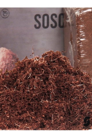 Cocopeat Hindistan Cevizi Torfu 10 Lt