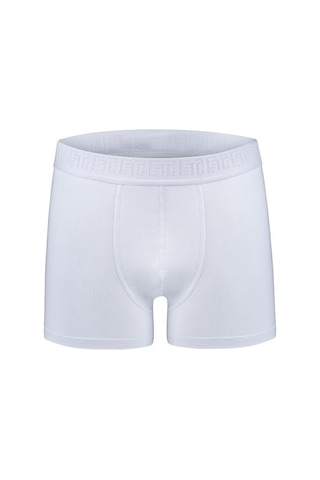Efsi 3019 Erkek Boxer 001