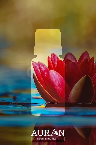 Auran 10 Ml Lotus Esansiyel Uçucu Koku Yağı Buhurdanlık Yağı Diğer
