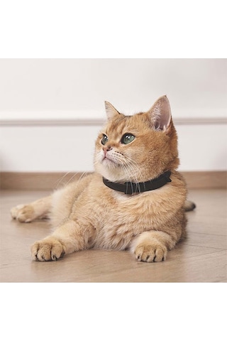 M-pets Keep Calm Calming Sakinleştici Kedi Tasması 4lü Mix Color 244-77005.01