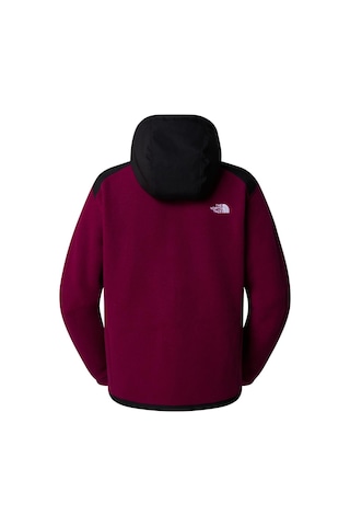 The North Face Kadın Alpine Polartec 200 F/z Hooded Jacket Mont 001