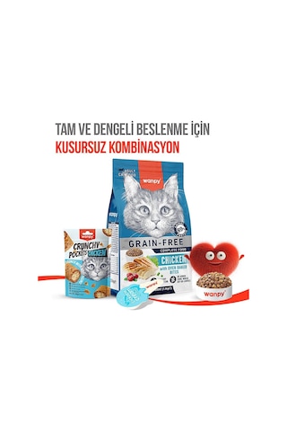 Kedi Crunch Ödül Tavuk 60g