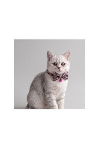 Zilli Kedi Papyon Tasması 2'li Avantaj Seti