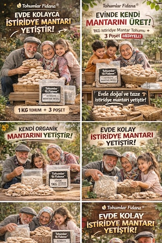 İstiridye Mantarı Miseli Tohumu Vakumlu 1 Kg Tohum 3 Adet Micro Delikli Torba Ekim Kılavuzu
