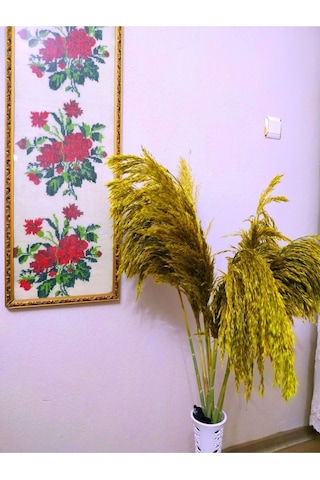 Büyük Demet Pampas Sarı 100cm Boyunda 8'li