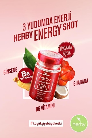 Herby Energy Shot Enerji Bitki Bazlı İçecek X12