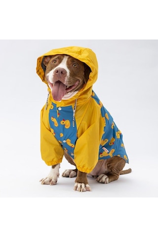 Pawstar Pekin Büyük Irk Yağmurluk