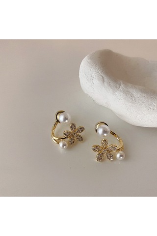 Mizaç Bayanlar Hafif Lüks İnci Çift Katmanlı Küpe Elmas Küpe, Şartname: Eh1291