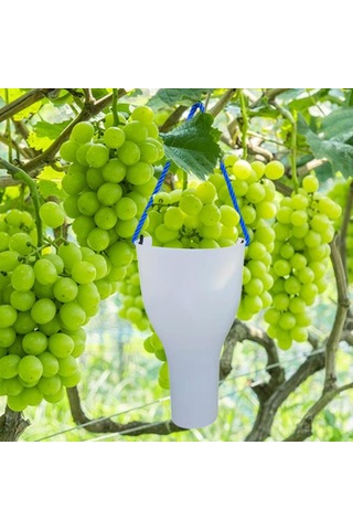 Suntek Üzüm Meyve Islatma Kupası Yetiştirme Bakımı S