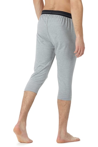 Burton Burton Erkek İçlik Alt Mb Mdwt Shant Gri 19134