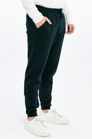 Erkek Jogger Eşofman Altı Gri Yeşil