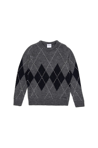 U.S. Polo Assn. Erkek Çocuk Açık Gri Melanj Bisiklet Yaka Kazak 50295513-VR091