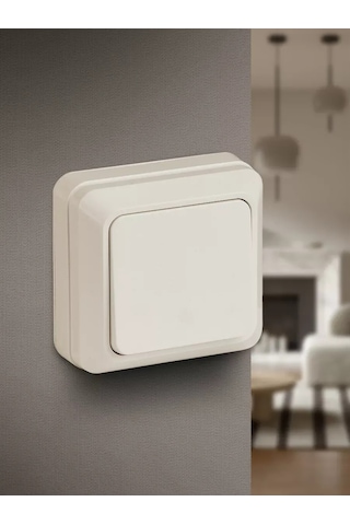 Intro Quadro 250v Tekli Düğmeli Anahtar 261824260