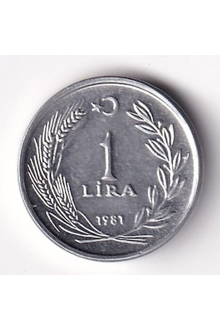 1 Lira 1981 Çil Eski Madeni Para