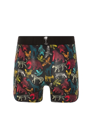 Farm Animals All Animals Desenli Boxer Çok Renkli