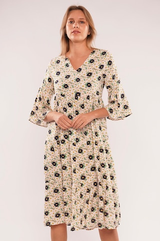 Gabria Kadın Gabria V Yaka Çiçek Desenli Elbise Pudra