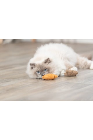 Trixie Kedi Oyuncağı, Peluş Ayı, Kediotlu 8cm