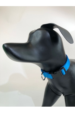 Mita Ayarlanabilir Köpek Boyun Tasması Turkuaz