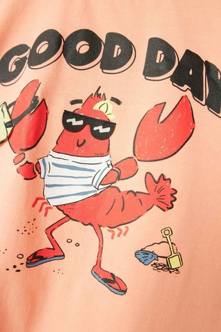 Name It Nmmfısh Nreg Ss Top Box Pembe Erkek Çocuk Kısa Kol T-shirt Pembe