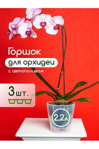 Al'ternativa Orkide Saksısı 2,2 L 3 Adet 163659180