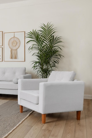 Eymense Kraft Kadife Berjer Beyaz