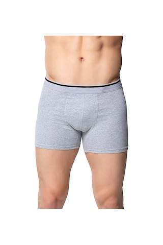 Sedef Yıldızı Erkek Likralı Boxer Gri Gri