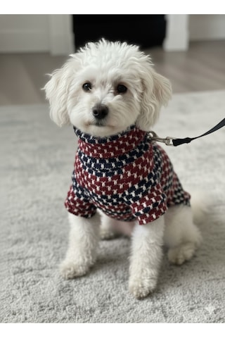 Kedi - Köpek Mevsimlik - Kışlık Triko Kazak - Sweat - Mont - Yelek