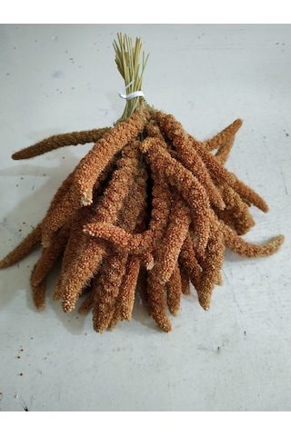 Doğal Kizil Dal Dari 250gr Doğal Kizil Dal Dari 250gr