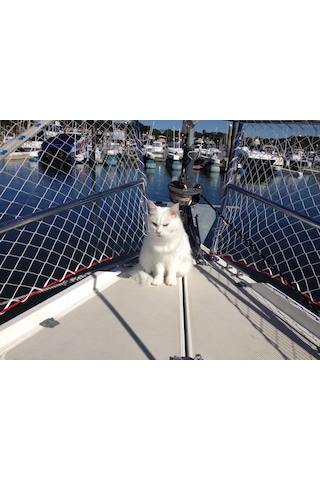 Tekne Güverte Vardavela Ağı. 5 Metre. 3mm. En:50cm. 7 Göz