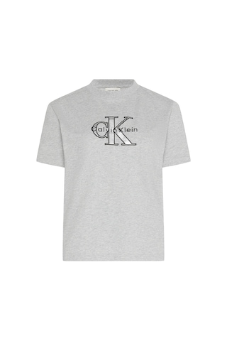 Ss Classıc Monologo Metallıc Cne Kadın Gri T-shirt Gri