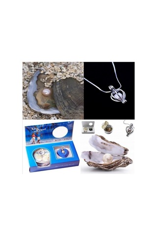 İstiridye İçinde Gerçek İnci Ve Kolye