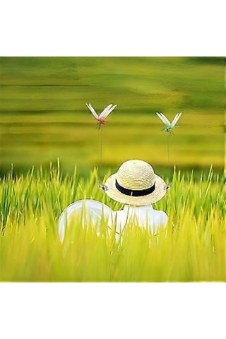 20 Adet Bahçe Dekorasyonu Yusufçuk Sahte Yusufçuklar Bahçe Çubukları 3d Şapka Klipsi Yusufçuk Klipsi İç Mekan Dış Mekan Veranda Süsleri İçin