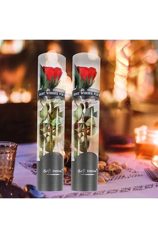 Trendooze Yıl Sonsuz Sonsuz Sevgililer Romantik Pembe Partisi Parfümlü Noel Korunmuş Kadınlar İçin Hediye Günü Günü Gül Gül Gül Gerçek Festivalleri Ev Düğün Dönümü Çiçeği Çiçeği Arifesi Anneler Pe Pembe