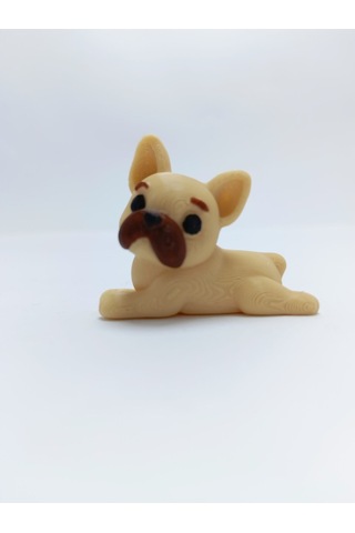 Yavru Pug Magnet