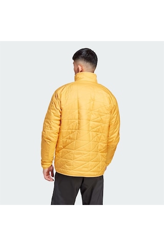 Adidas Terrex Multi Insulation Erkek Mont 001