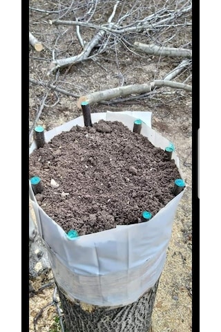 Gmt Eks Budama Aşı Macunu Turunçgil Yara Macunu 250 G