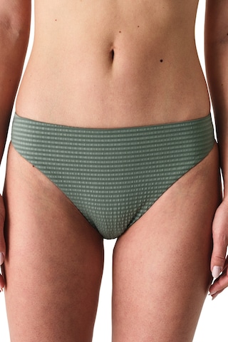 Penti Koyu Yeşil Rana Green High Leg Slip Bikini Altı