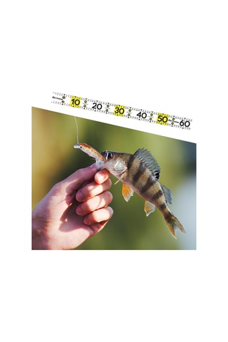 Homyl Balık Ölçme Aracı 51.18 '' Tekne Yelkenliler Beyaz-bir