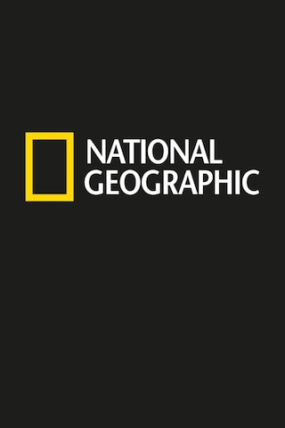 National Geographic Logo Oto Sticker Etiket 20 X 6 Cm Beyaz