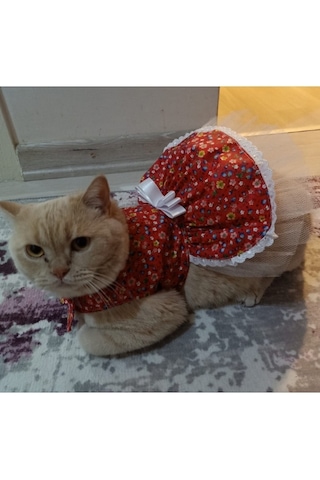 Gobo Rengarenk Çiçekli Fiyonklu Kedi Köpek Kıyafeti Kırmızı L